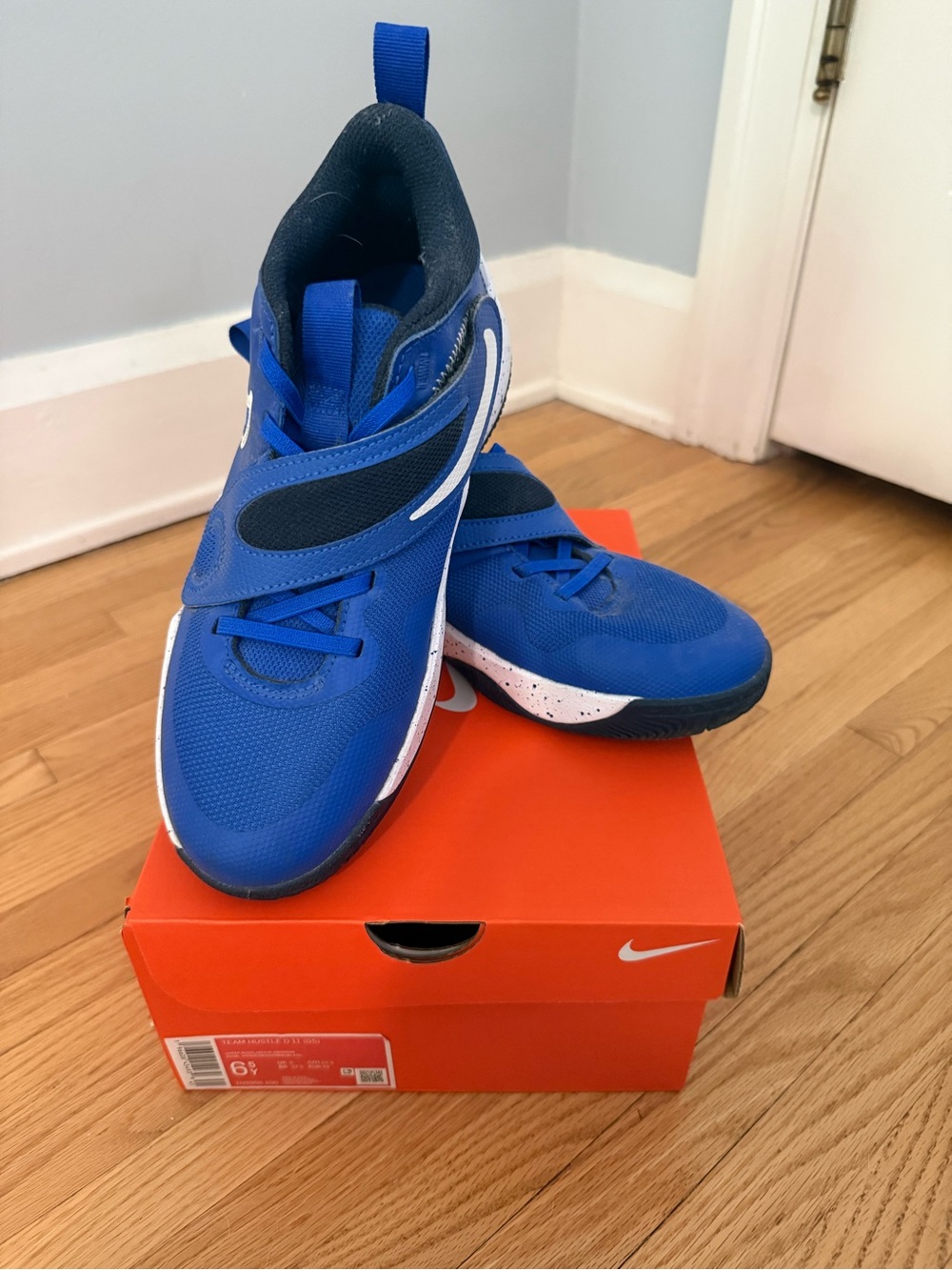 Nike Kids Royal Blue and White Velcro Athletic Sneakers